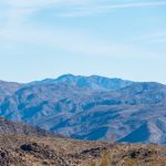 鸿博网站是多少?揭秘其背后的运营模式与特色 22x17