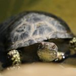 海立方线上赌博:探索虚拟赌场的魅力与风险 80251x4o