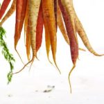 欧博真人注册的步骤与注意事项详解 8ckx2v7