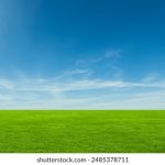 森林舞会电玩城游戏大厅:畅享刺激游戏与丰厚奖励的理想场所 fp39w8s