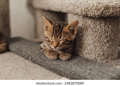 深入了解w88优德官网:在线博彩平台的优势与特色 深入了解w88优德官网:在线博彩平台的优势与特色