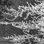 浩博vinbet平台解析:如何在这里赢得更多奖金 sse2v47lx3