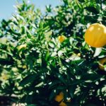 深入了解互博国际注册的优势与流程解析 uhtl2