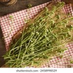 龙8电子游戏:揭开热门游戏背后的秘密与技巧 w236n3l